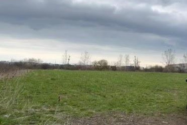 80 Ridley Road, St  Catharines, ON L2S3Y8 Photo 3