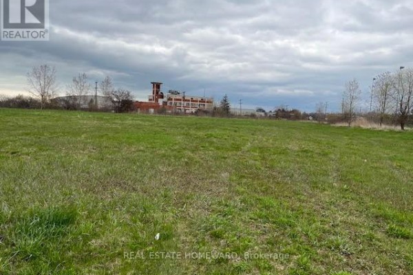 80 Ridley Road, St  Catharines, ON L2S3Y8 Photo 4