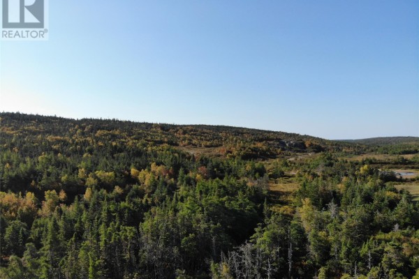 Aerial view of dense coniferous forest and scattered deciduous trees on rolling terrain. - 800a Country Road, Bay Roberts