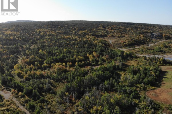 Aerial view of wooded property with marshland, a distant lake, and a clear blue sky. - 800a Country Road, Bay Roberts