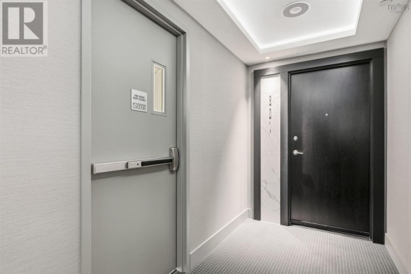 Pet grooming station with a stainless steel tub, ramp, and overhead dryer. - 801 1585 South Park Street, Halifax