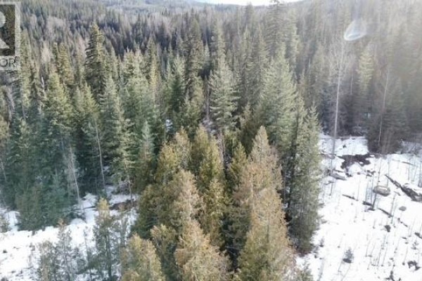 Aerial view of dense forest with snow-covered ground and mountain backdrop. - 801 Bobbie Burns Road, Lumby