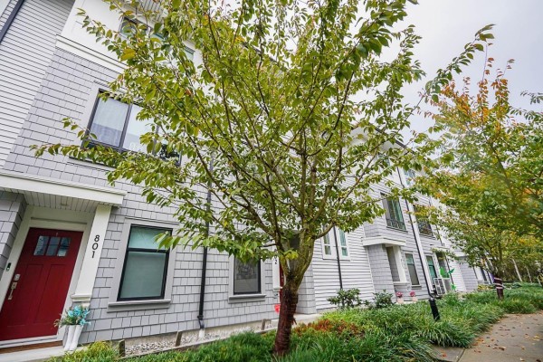 802 18505 Laurensen Place, Surrey, BC V4N6R7 Photo 3