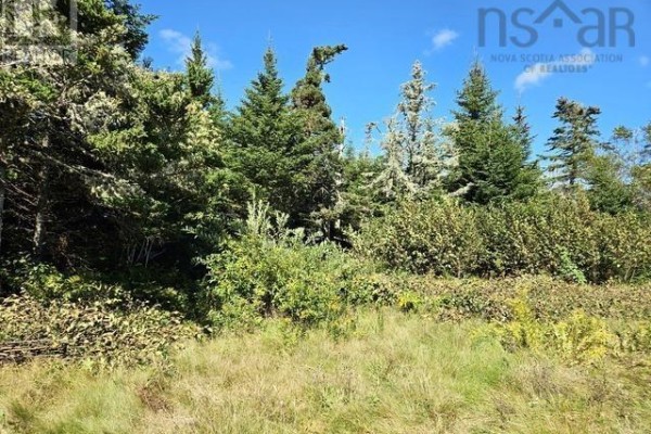 802 Forbes Point, Forbes Point, NS B0W2E0 Photo 2