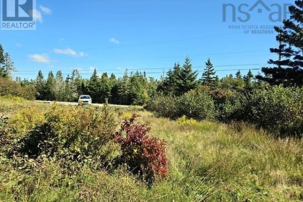 802 Forbes Point, Forbes Point, NS B0W2E0 Photo 3