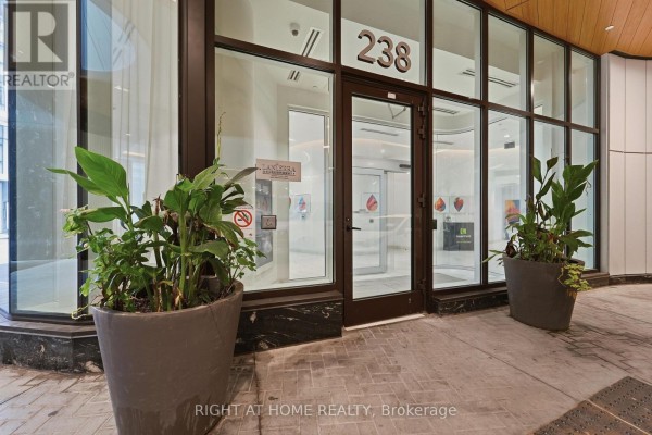 Kitchen - 803 - 238 Simcoe Street, Toronto, ON M5T0E2 Photo 3