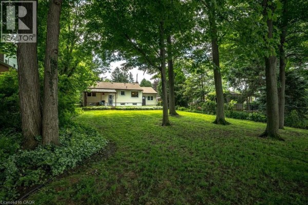 Side view of the single-story house with red leaf tree and green bushes. - 803 Montgomery Drive, Ancaster