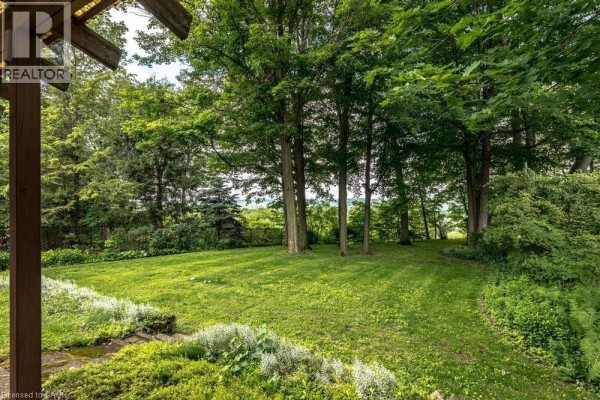 View of the house from the driveway, featuring a large weeping tree on the lawn. - 803 Montgomery Drive, Ancaster