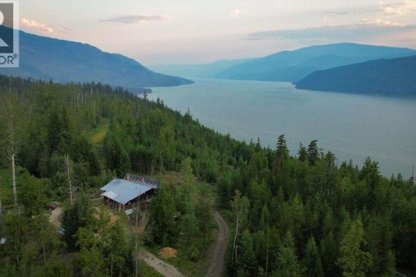 Aerial view showing a rustic cabin nestled among trees with a large lake and mountains beyond. - 804 Applegrove Road, Fauquier
