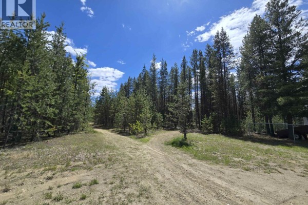 808 Beaven Crescent, Valemount, BC V0E2Z0 Photo 3