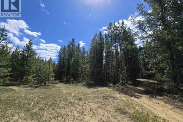 808 Beaven Crescent, Valemount, BC V0E2Z0 Photo 4