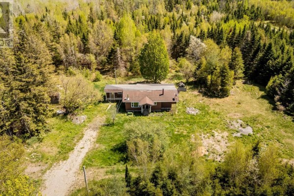 808 Newtonville Road, Forest Hill, NS B4P2R1 Photo 2