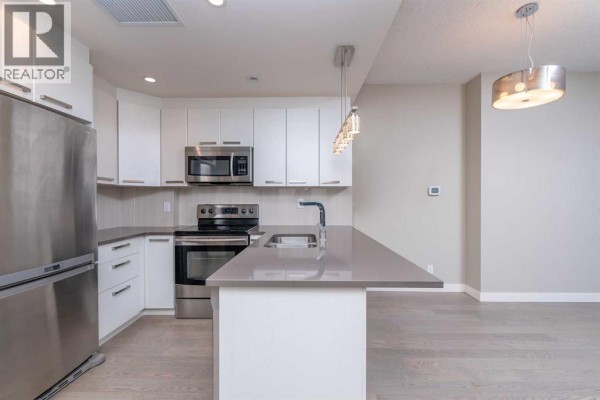 Kitchen - 809, 225 11 Avenue Se, Calgary, AB T2G0G3 Photo 5