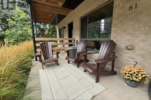 Patio area with Adirondack chairs, outdoor AC unit, and potted plant. - 81 - 369 Essa Road, Barrie