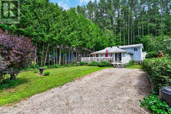 Gravel driveway leading to a light blue house with a deck. - 81 Andrew Drive, Tiny