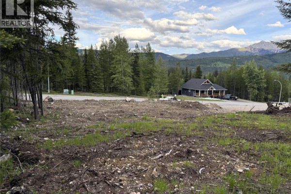 81 Deerborne Drive, Elkford, BC V0B1H0 Photo 3
