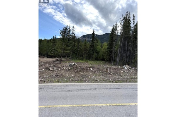 81 Deerborne Drive, Elkford, BC V0B1H0 Photo 4