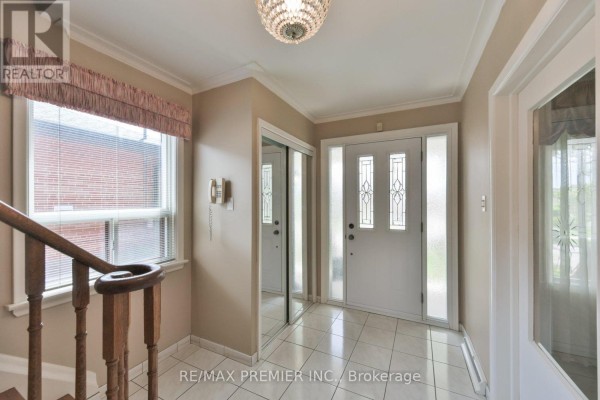 Kitchen - 81 Macleod Street, Toronto, ON M6L2M8 Photo 4