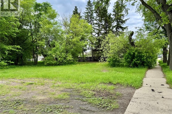 81 Myrtle Avenue, Yorkton, SK S3N1P8 Photo 4