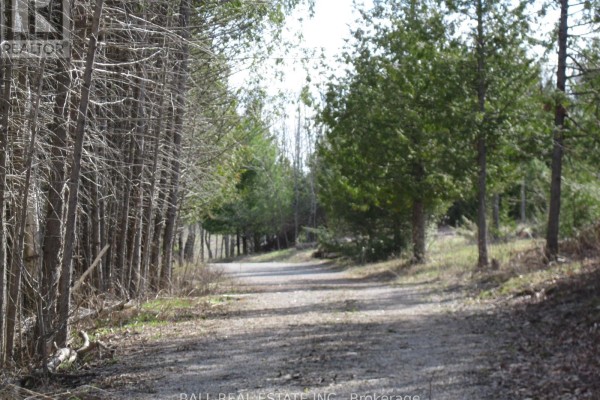81 Silver Heights Drive, Trent Hills, ON K0L1Y0 Photo 2