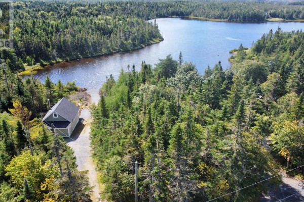 Aerial view of a small grey house nestled among tall pine trees beside a wide blue lake. - 81 Strayaway Road, Blaketown