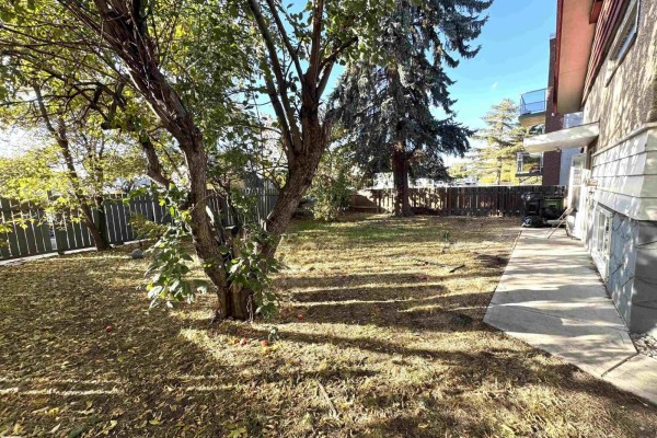 Family room - 8108 124 Av Nw, Edmonton, AB T5B1C1 Photo 3