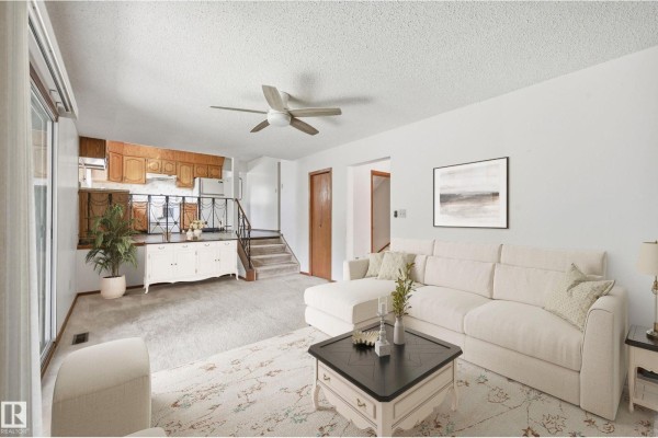 Family room - 8119 24 Av Nw, Edmonton, AB T6K2W2 Photo 4