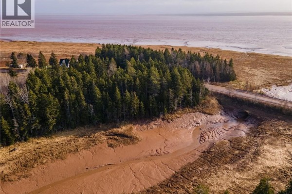 Close-up aerial view of wooded area with tidal flats and a road nearby. - 814 Route 935, Wood Point