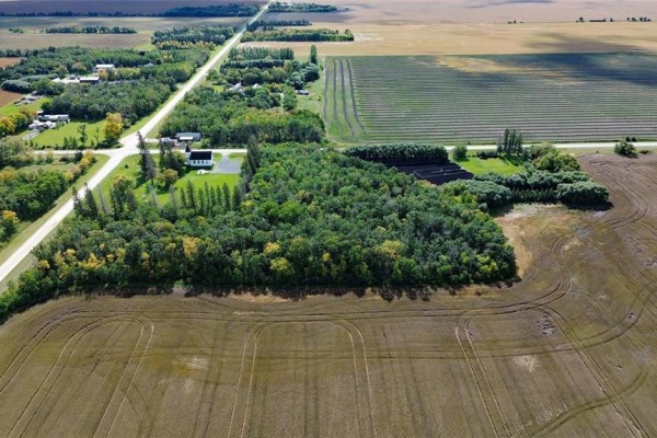 Overhead view of land at 817 Cloverdale Road, featuring a treed area and adjacent fields. - 817 Cloverdale Road, St Andrews