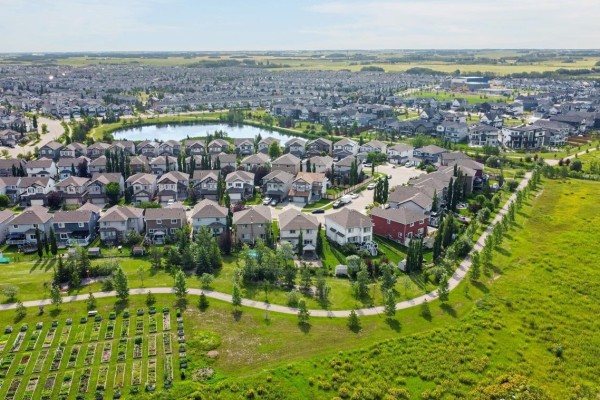 Kitchen - 817 Southfork Gr, Leduc, AB T9E0P4 Photo 3
