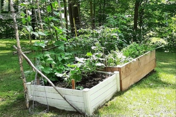 Raised garden bed with vegetables and trellises - 82 Bay Lake Road Bancroft
