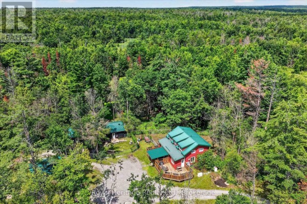 Aerial view of a red house and smaller outbuilding surrounded by forest. - 82 Kennedy Drive, Trent Lakes