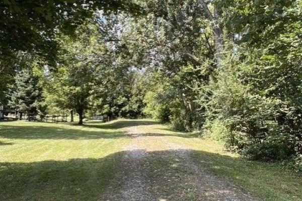 82 Mary Street, Clearview, ON L0M1G0 Photo 4