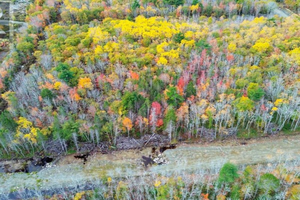 Lots and Land for sale at 82 Morton Drive, Liverpool, NS - MLS® Qy8OY5