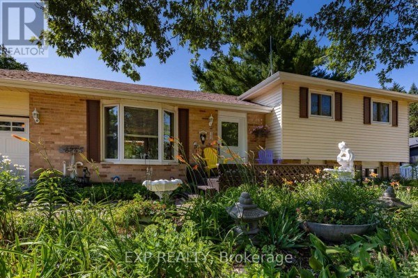 8245 Main Street, Adjala Tosorontio, ON, photo 2
