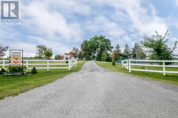 828350 Mulmur Nottawasaga Townline, Mulmur, ON L9V0Y9 Photo 4