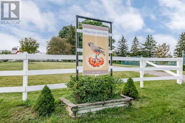 828350 Mulmur Nottawasaga Townline, Mulmur, ON L9V0Y9 Photo 5
