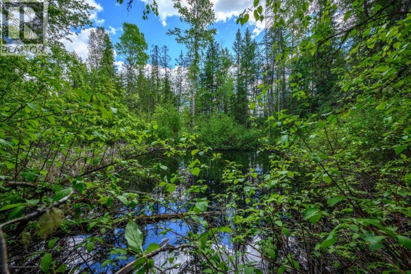 8290 Lincoln Road, Vernon, BC V1B3M8 Photo 4