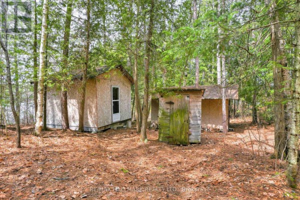 Small wooden outbuildings and sheds surrounded by trees and forest floor. - 83 Chapel Road, Madawaska Valley
