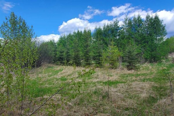 8342, 100 Street, Lac La Biche, AB, photo 3