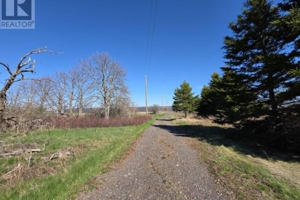 Gravel road lined with grass and trees, stretching towards the horizon under a blue sky. - 840 Brule Point Road, Brule Point