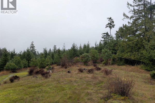 8401 Keith Wagner Way, Denman Island, BC V0R1T0 Photo 4
