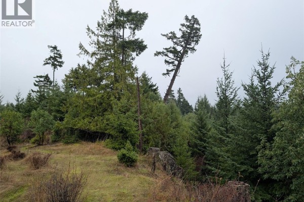 8401 Keith Wagner Way, Denman Island, BC V0R1T0 Photo 5