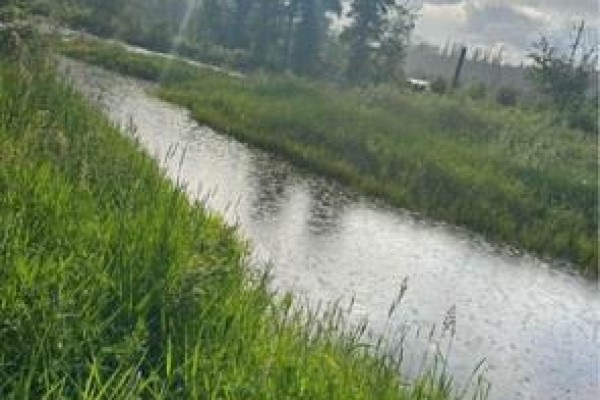8415 King Creek Fsr Road Lot# 68, Yahk, BC V0B2P0 Photo 4