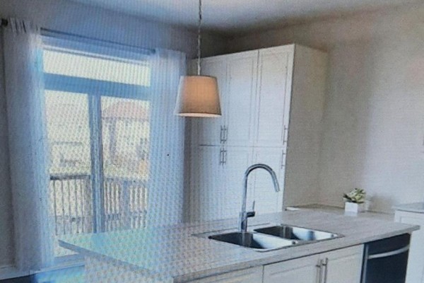Kitchen island with double sink, stainless steel faucet, and view of the backyard deck. - 8421 Sweet Chestnut Drive, Niagara Falls