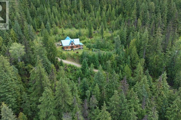Aerial view of a log cabin nestled within a dense, mature evergreen forest. - 8470 Red Mountain Road, Silverton