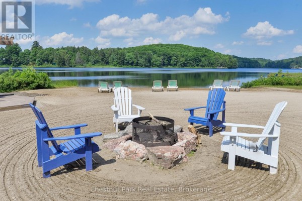 848 Clearwater Lake Road, Huntsville, ON P0B1L0 Photo 5