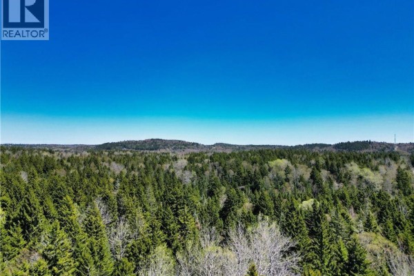 85-197 And 85-198 Harbour Heights Drive, Welshpool, NB E5E1H6 Photo 5