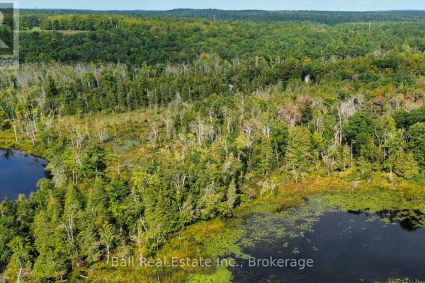 85 Fr 19c Route, Havelock Belmont Methuen, ON K0L1Z0 Photo 3