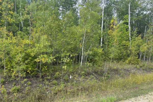 85 Viking Trail, Gimli Rm, MB R0C1B0 Photo 2